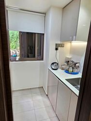 FORETT AT BUKIT TIMAH (D21), Apartment #582338861